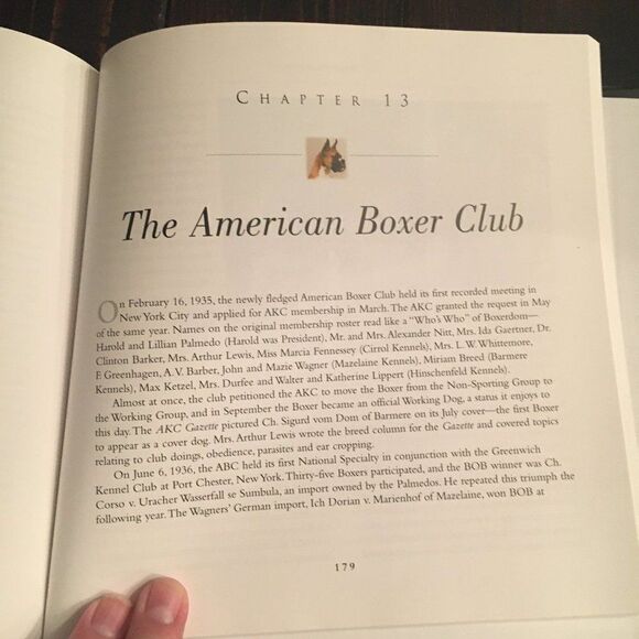 The Boxer Family Favorite by Stephanie Abraham - Picture 7 of 9
